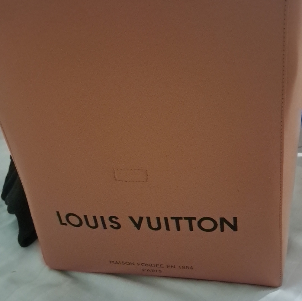 Louis vitton (sandwich) bag